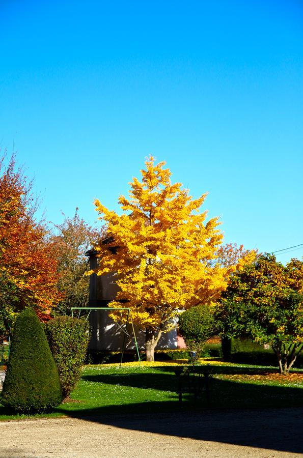 Chateau De Montabert Montaulin Exterior foto